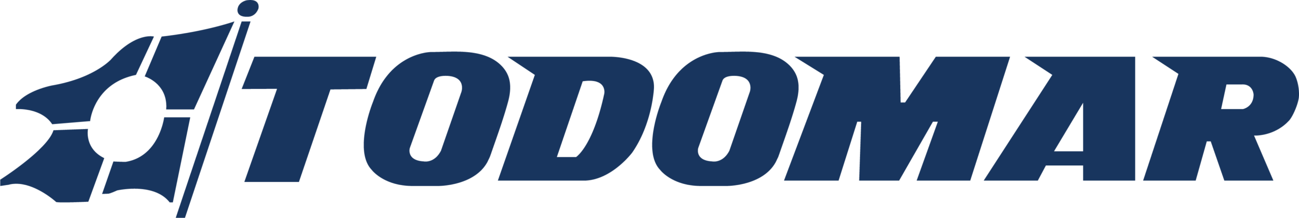 logo todomar color 2